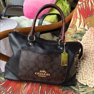 Black Brown Python Coach Bag